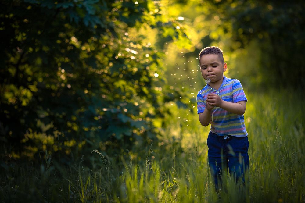 Photograph by Petro Vasyliev