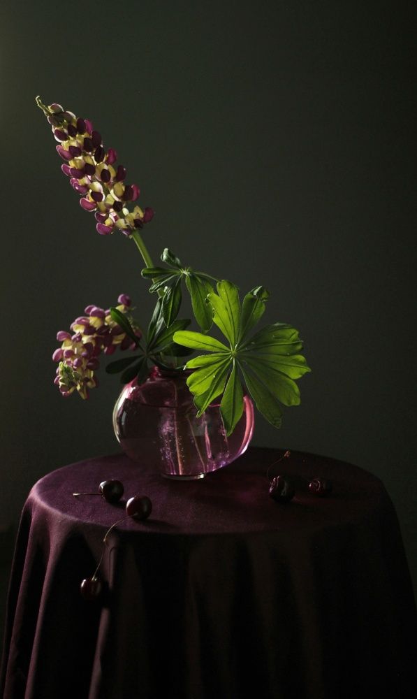 Photograph by Екатерина