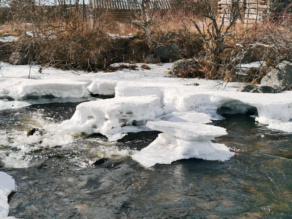 Photograph by Елена