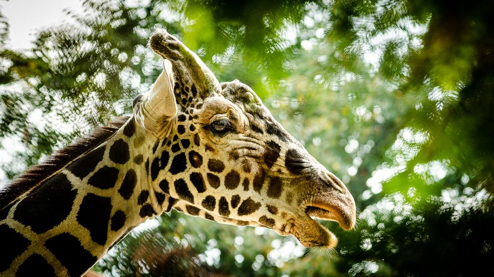 Фотография автора Владимир Брызгунов