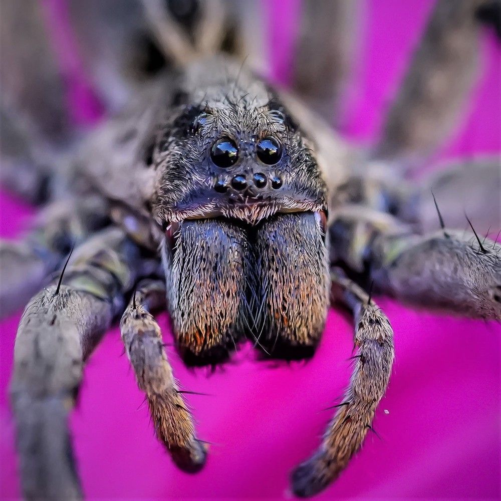 Photograph by Karina Elena Bergagna