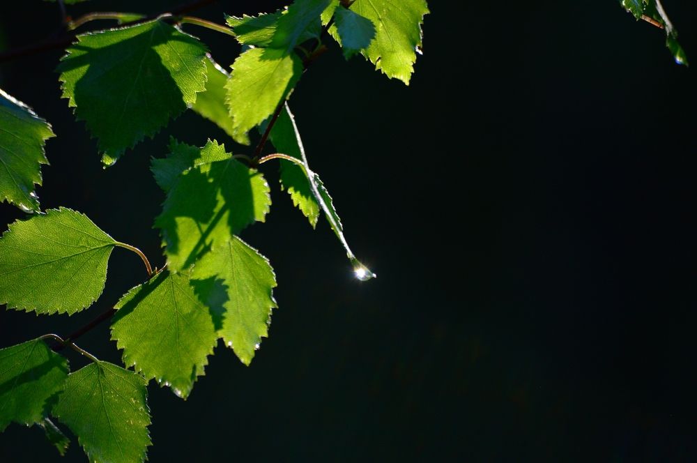 Photograph by Nadezhda