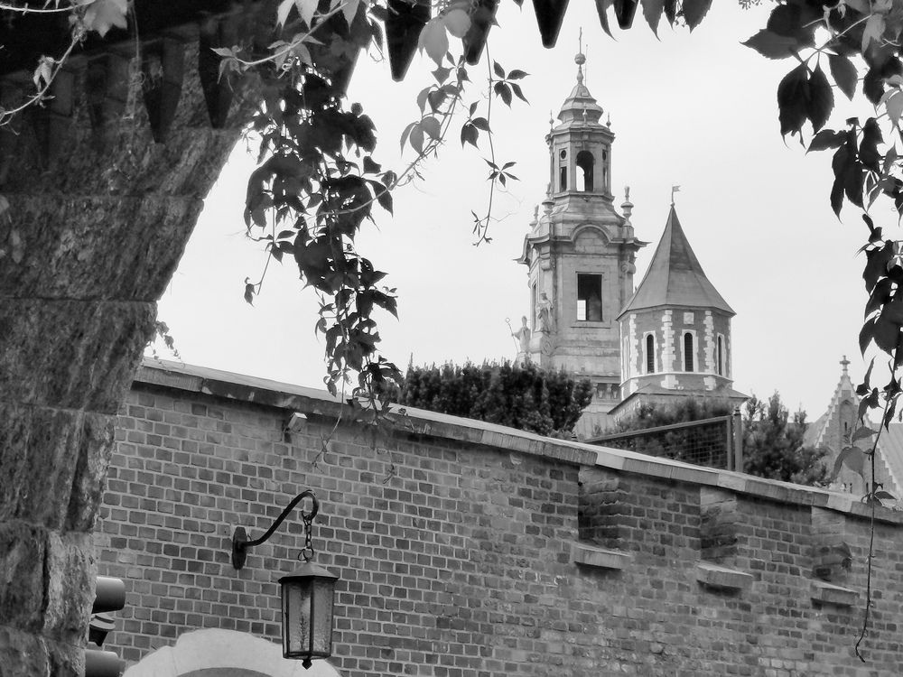 Photograph by Palina Mikhailouskaya