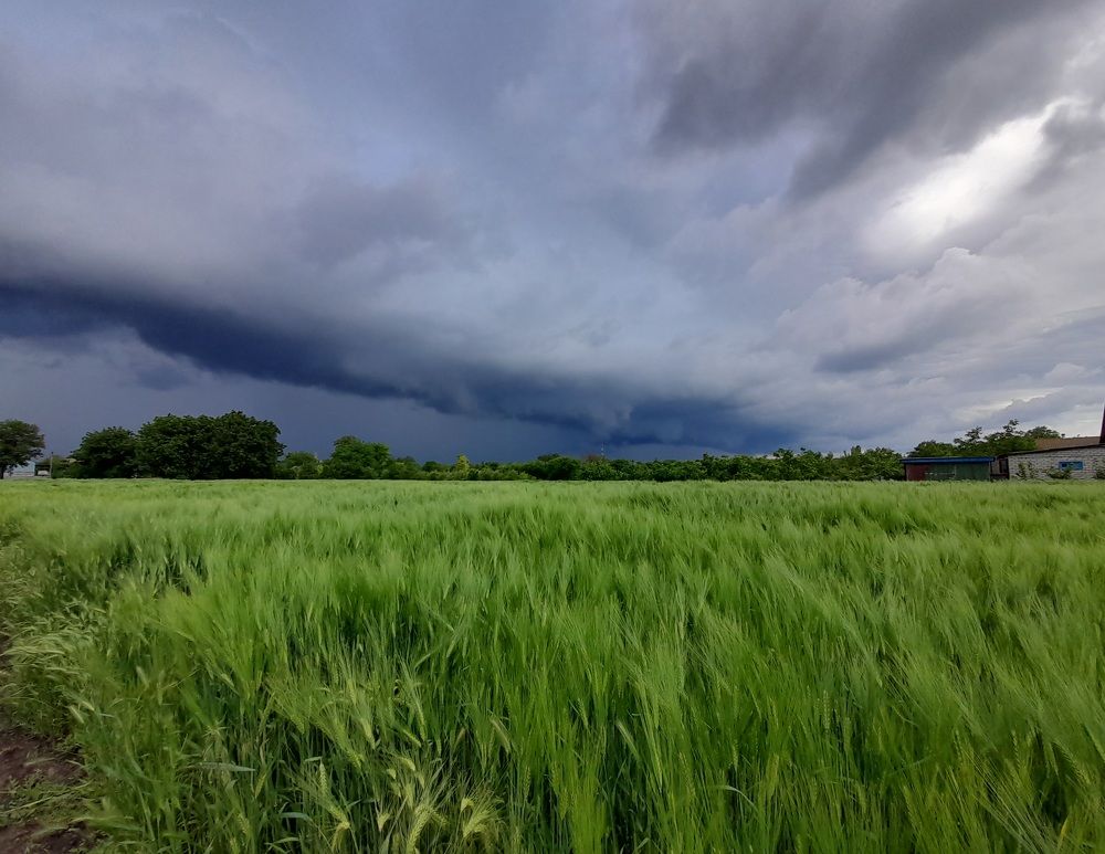 Гроза надвигается