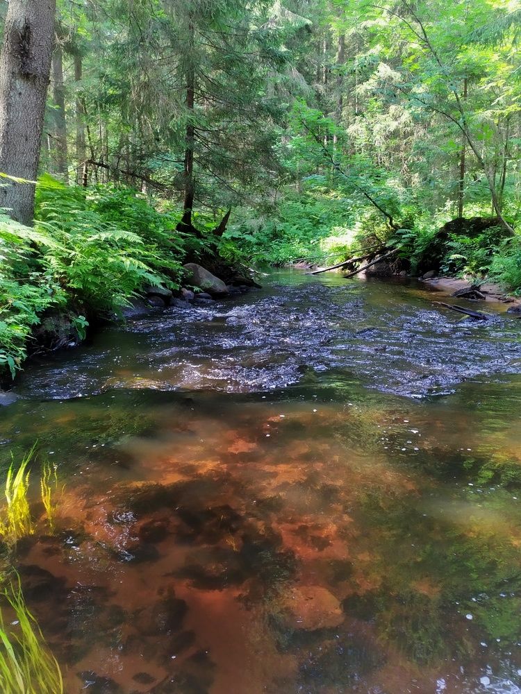 Photograph by Елена Павлова