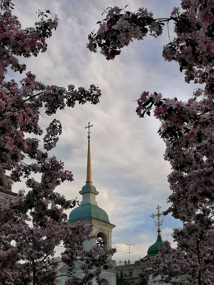 Photograph by Natali