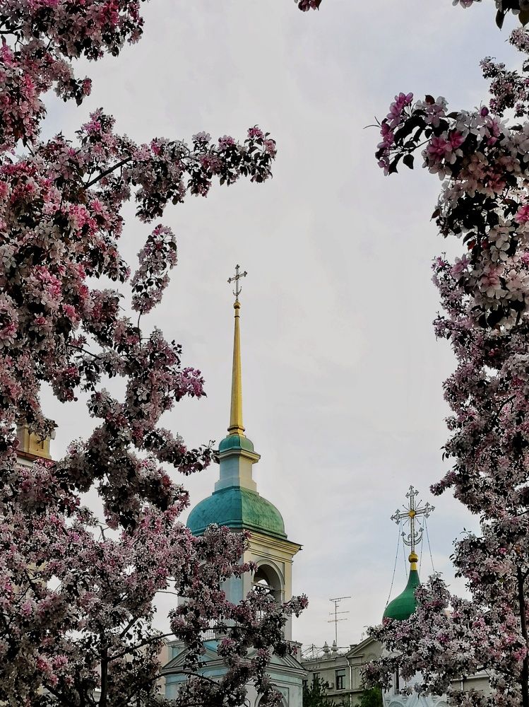 Photograph by Natali