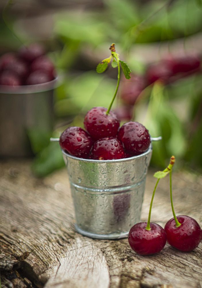 Photograph by Наталья Исиченко