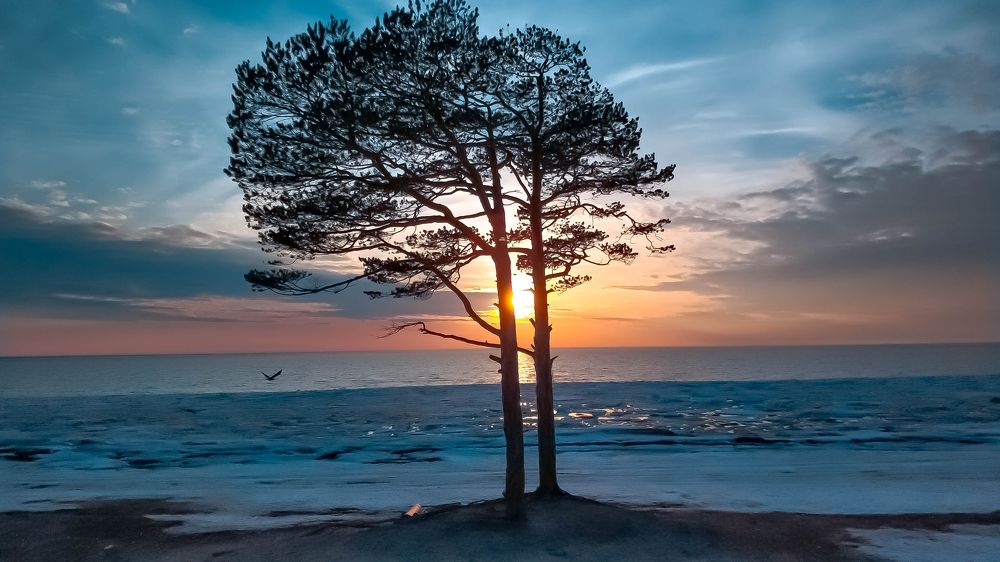 Photograph by Игорь Беленков