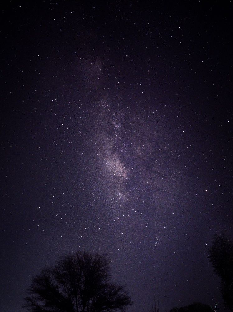 Фотография автора Vinit Tayade