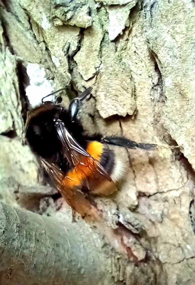 Photograph by Ольга Шевцова