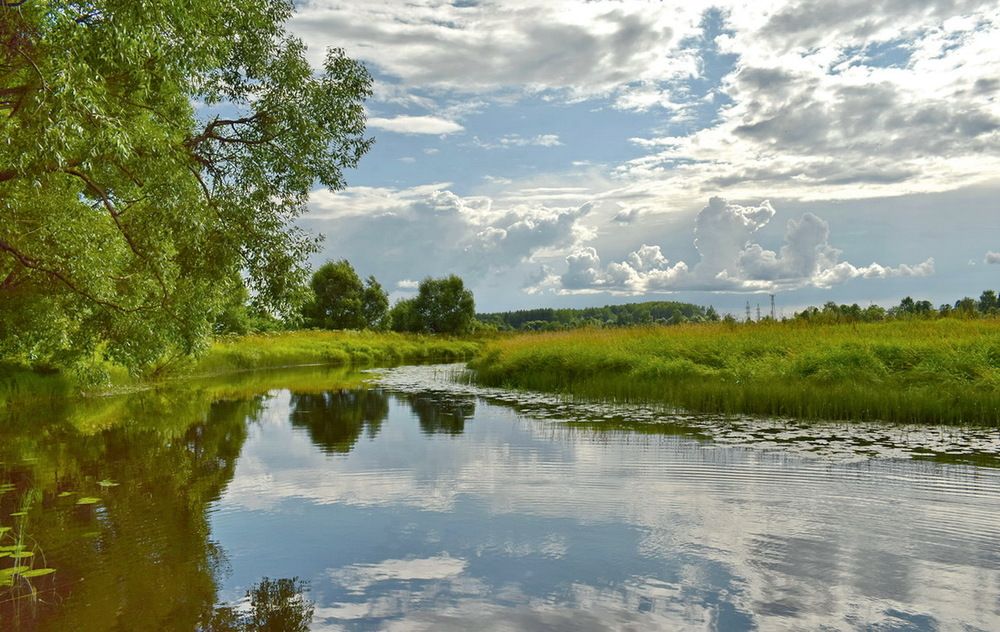 Photograph by Надежда Коновалова