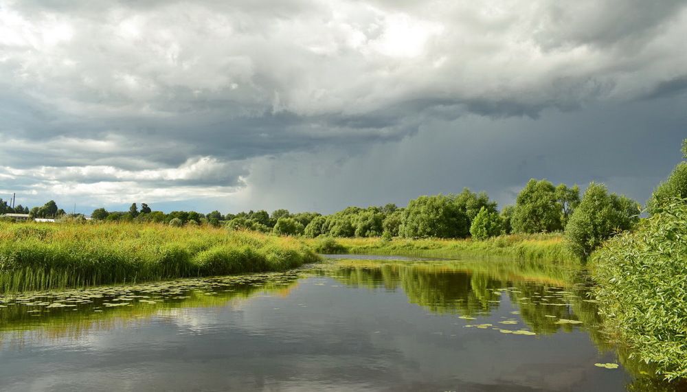 Река Кокшага, Кировская область.