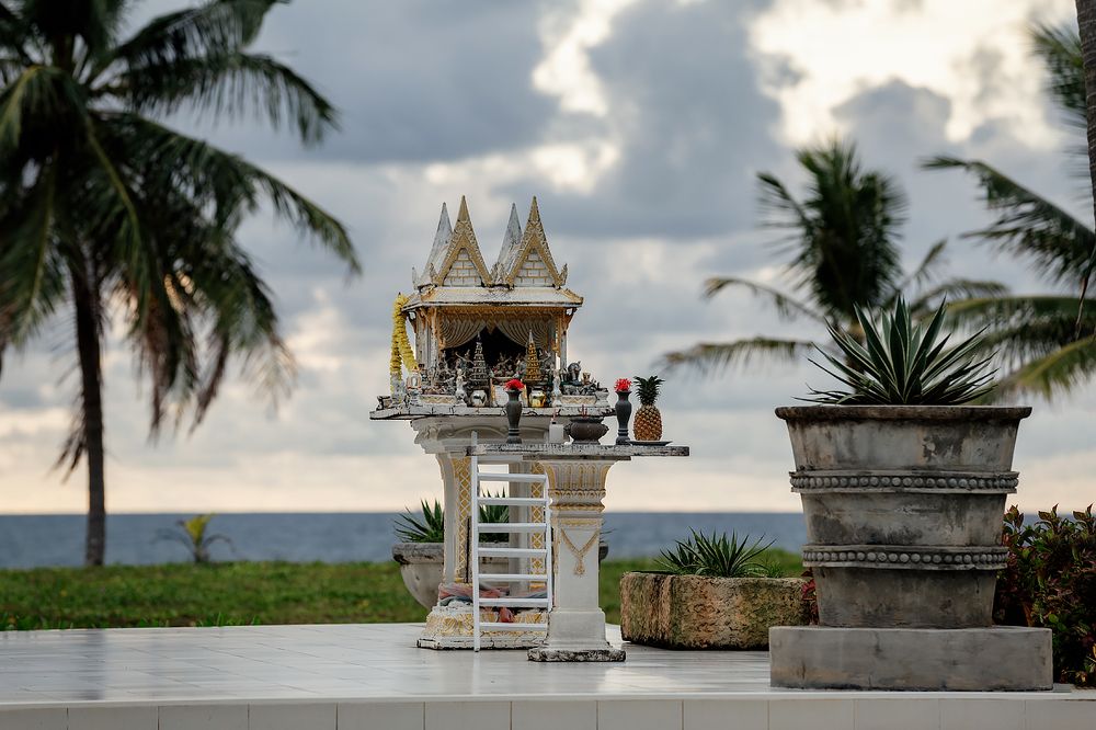 Photograph by Анастасия Петрова