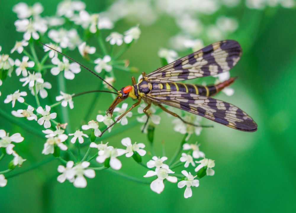 Photograph by Нина Минченко