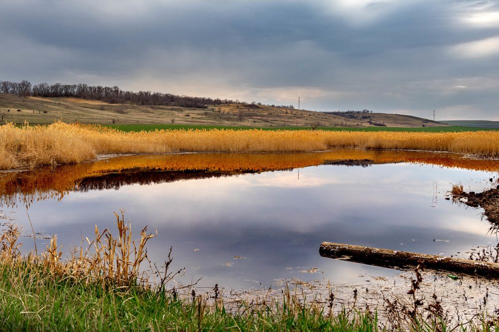 Photograph by Евгений Еськов