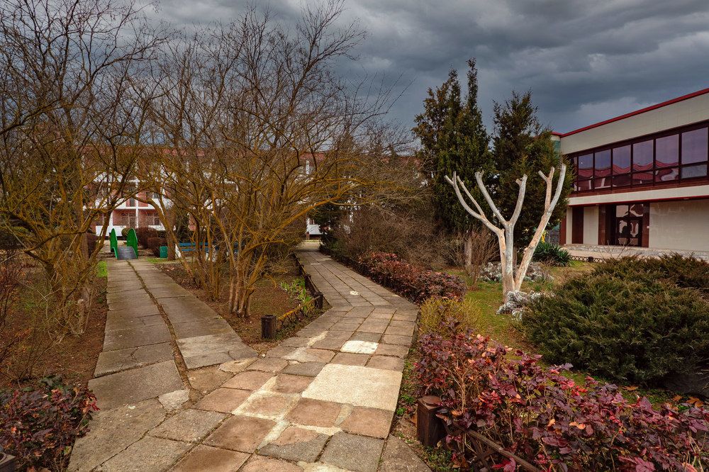 Photograph by Владимир Гамаюнов