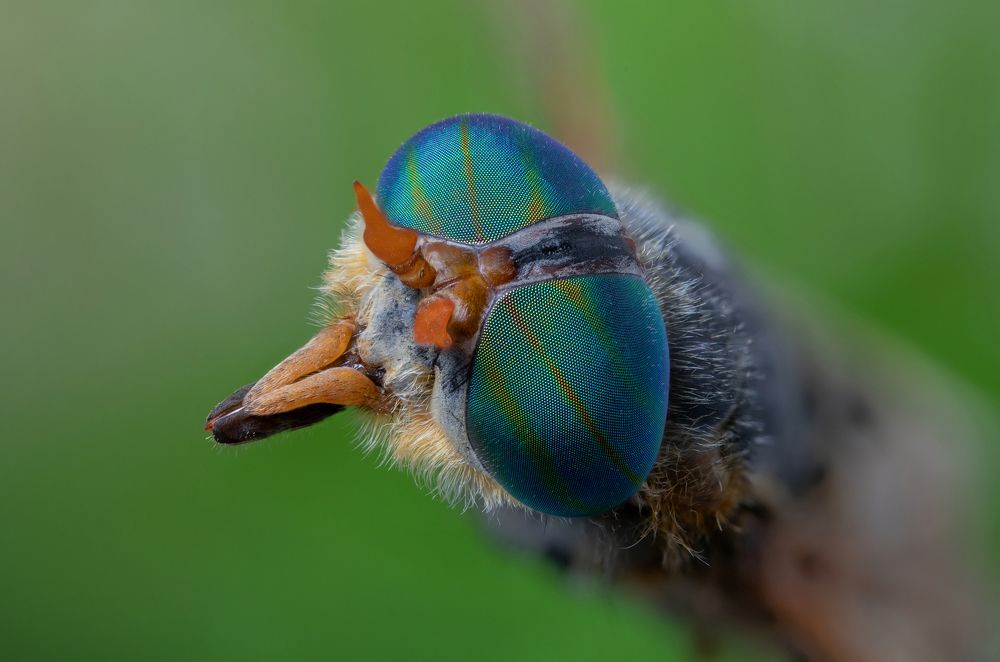 Photograph by Сергей Романченко