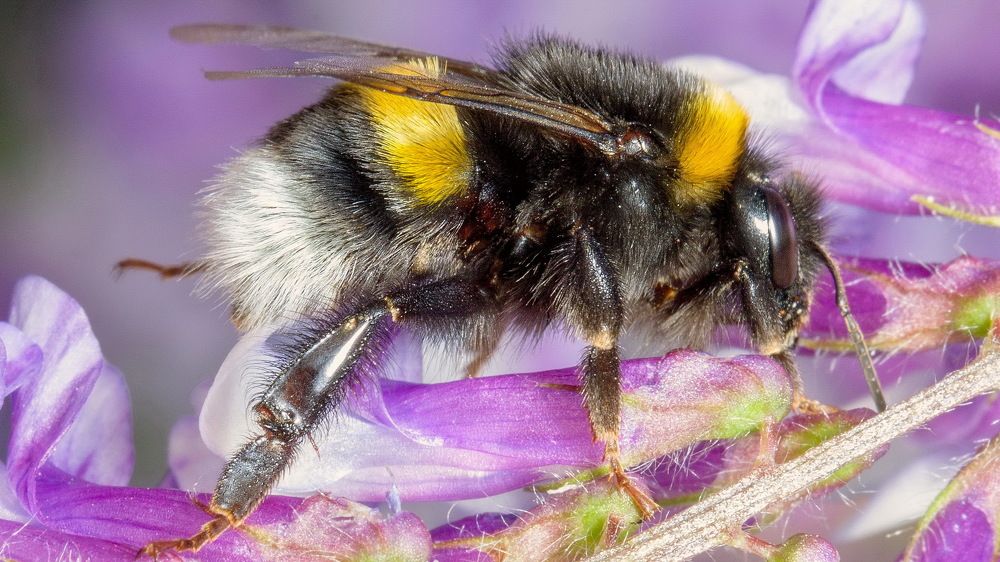 Photograph by Александр