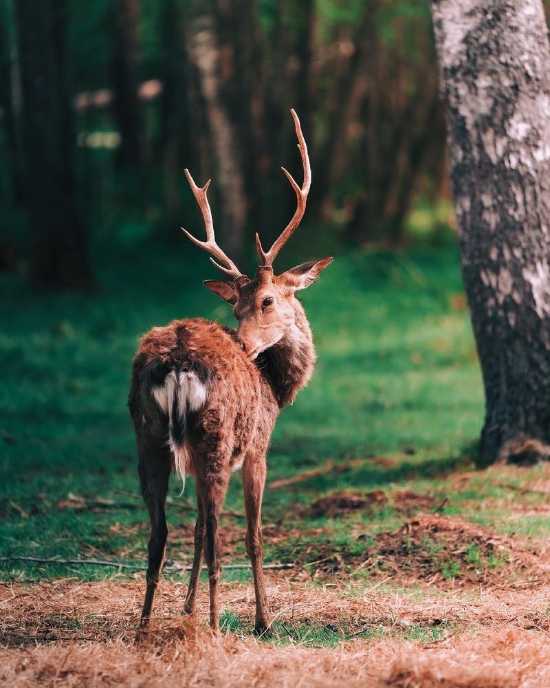 Фотография автора Павел Курицын