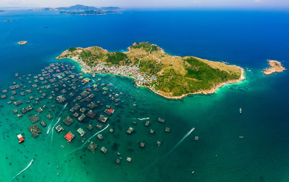 Photograph by Thanh Nguyen