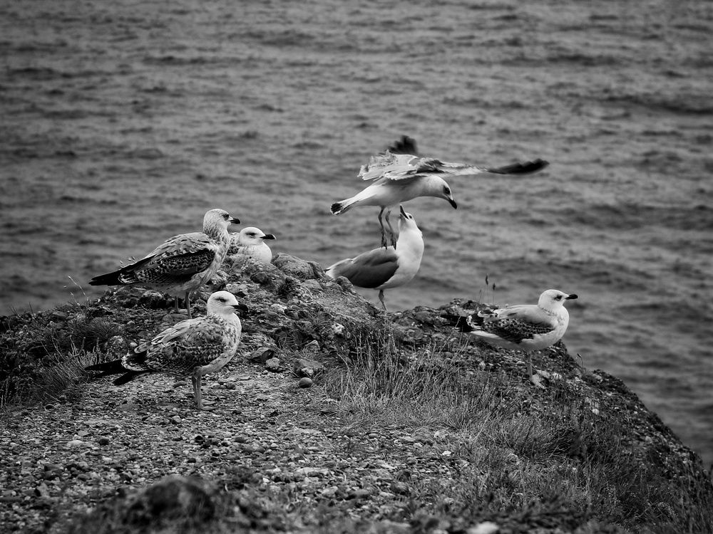 Photograph by Евгения Ветрова