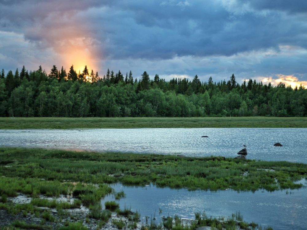 Photograph by Евгения Ветрова