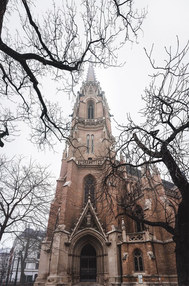 Photograph by Алексей Андреев