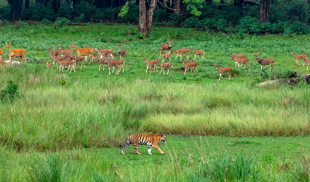 Photograph by USAIDUDDIN QUAZI