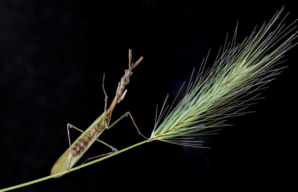 Photograph by çiğdem Sorgut