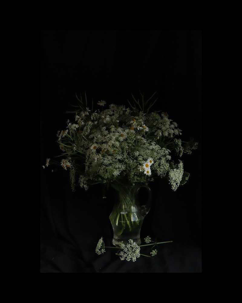 Photograph by Василина Петрик