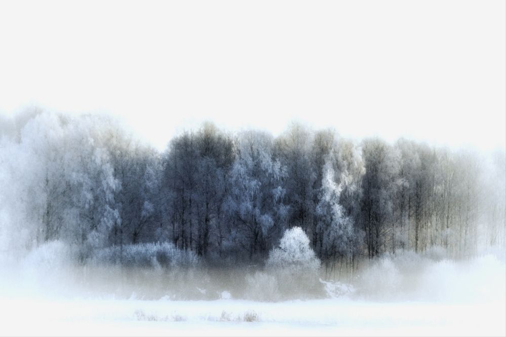 Photograph by Rasa Žičė