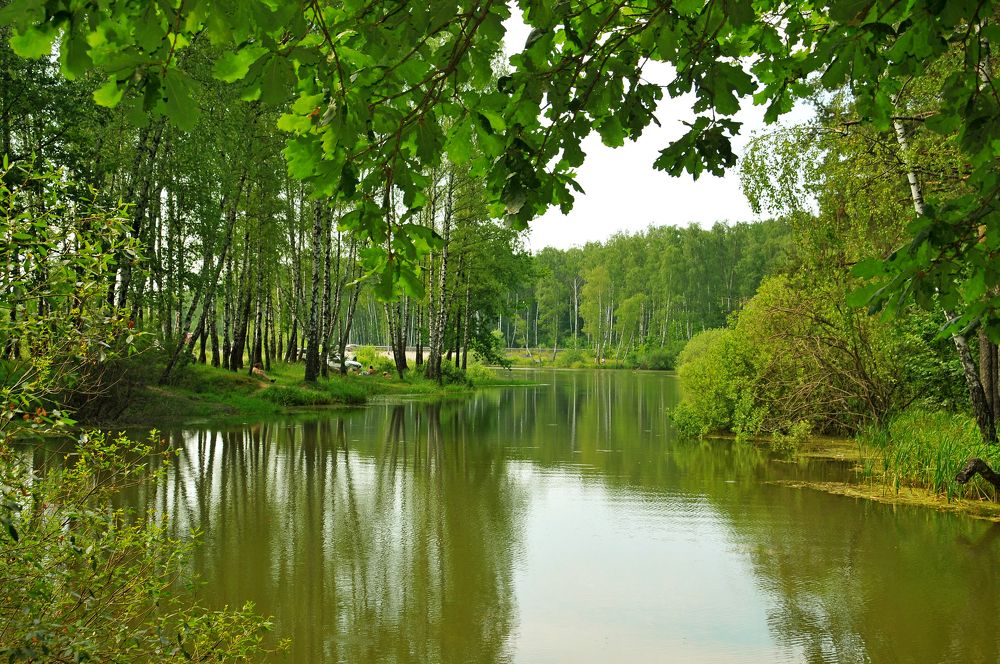 Photograph by Владимир Парсяк