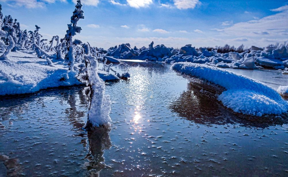 Photograph by Олександр Дормидонтов