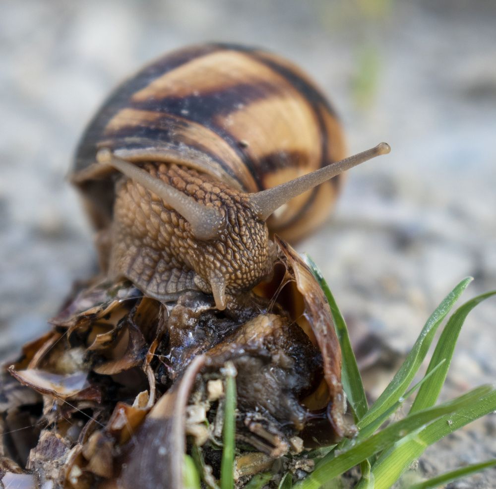 Photograph by Иван Лебедев