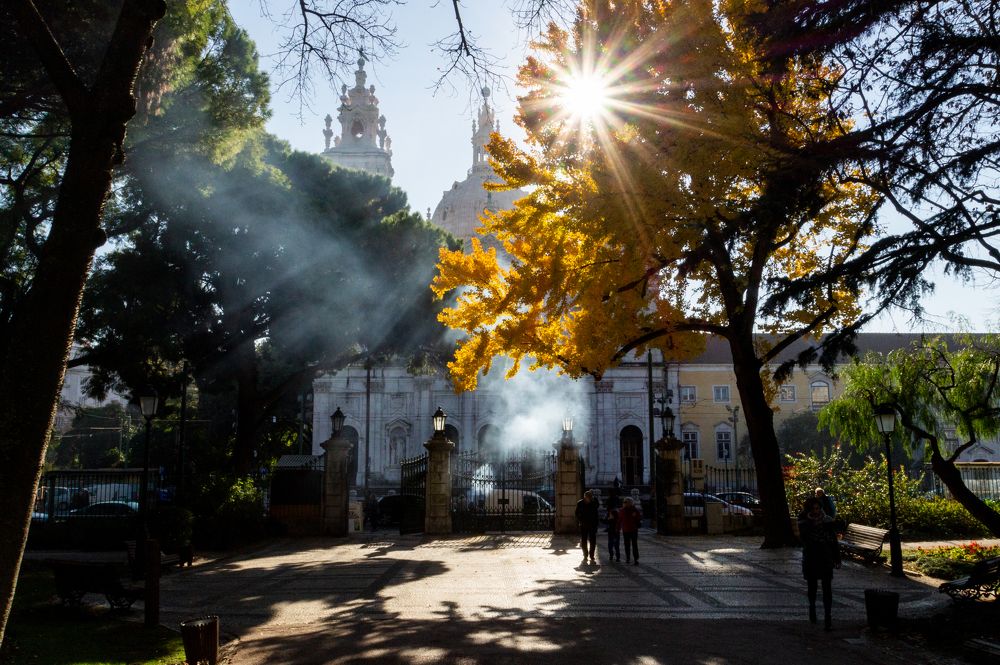 Photograph by Никита Колеганов