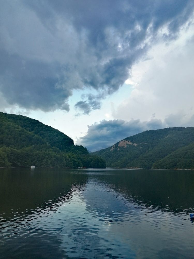 Photograph by Mila Gaziuc