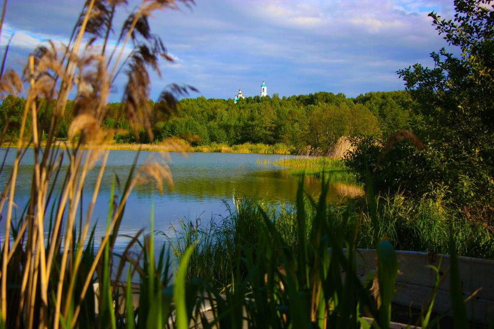 Летний день.