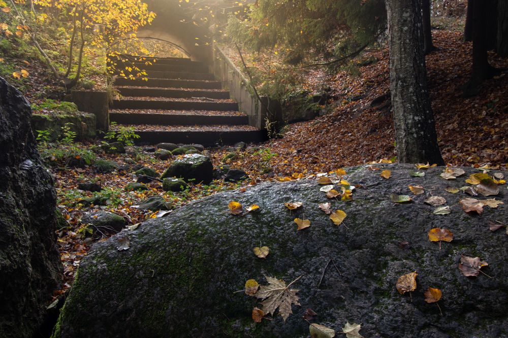 Photograph by Андрюс