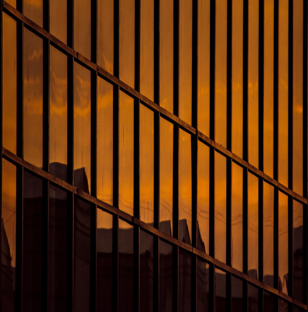 Photograph by Sabyasachi Sanyal