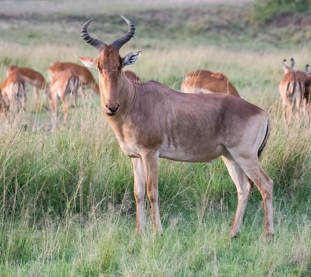 Фотография автора Sajeev Krishnan