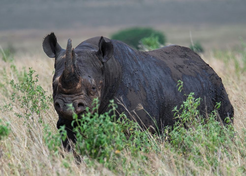 Фотография автора Sajeev Krishnan