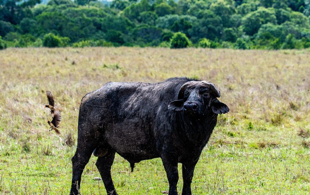 Фотография автора Sajeev Krishnan