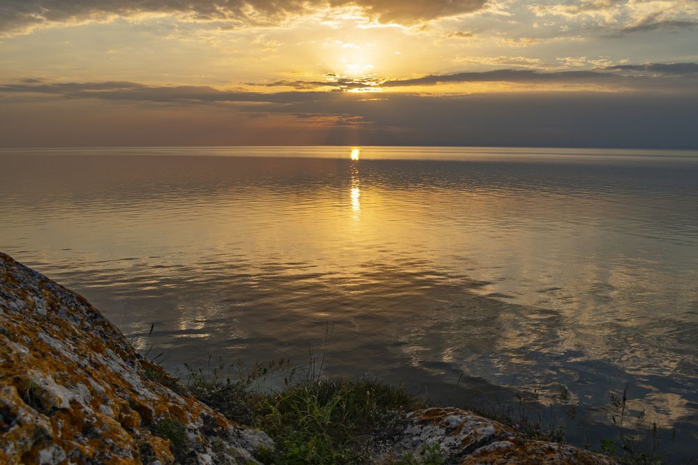 Photograph by Алексей Полтавец