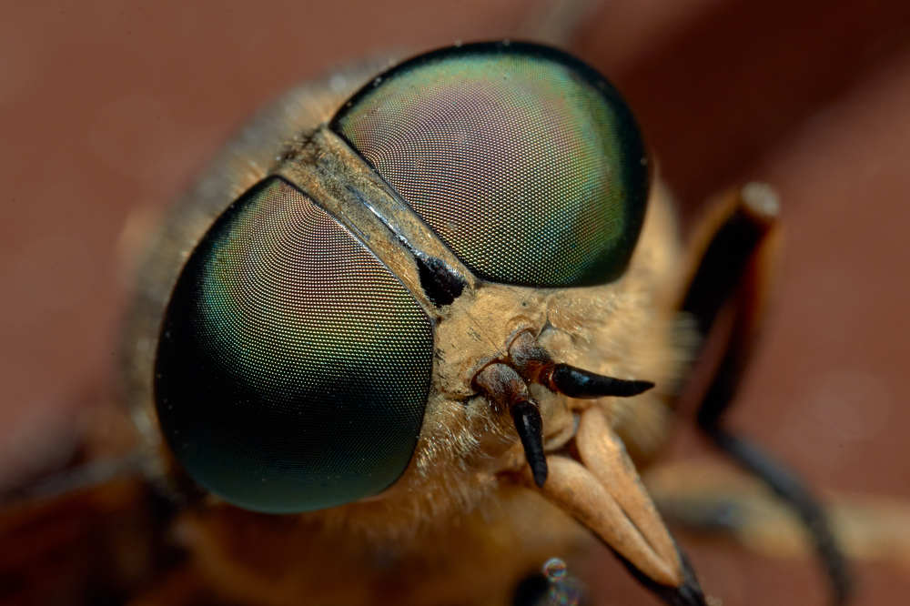 Photograph by Виктор Ноговицин