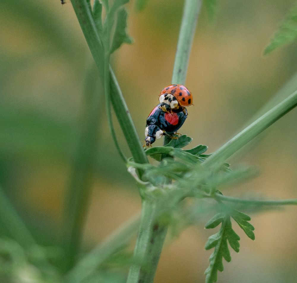 Фотография автора Vitalii Kaznin