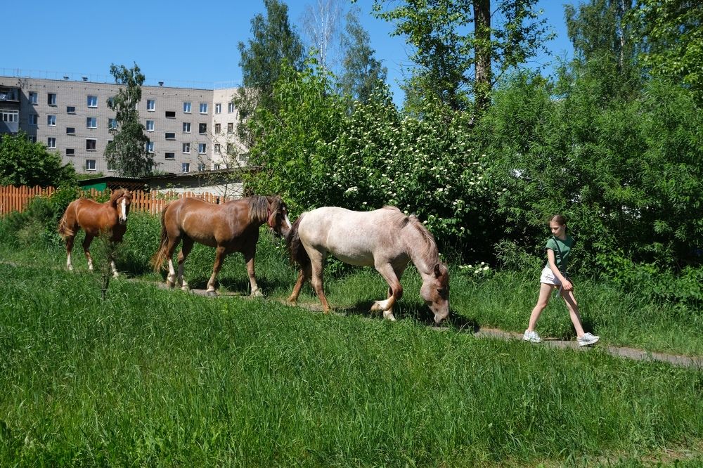 Photograph by Алексей Коровин