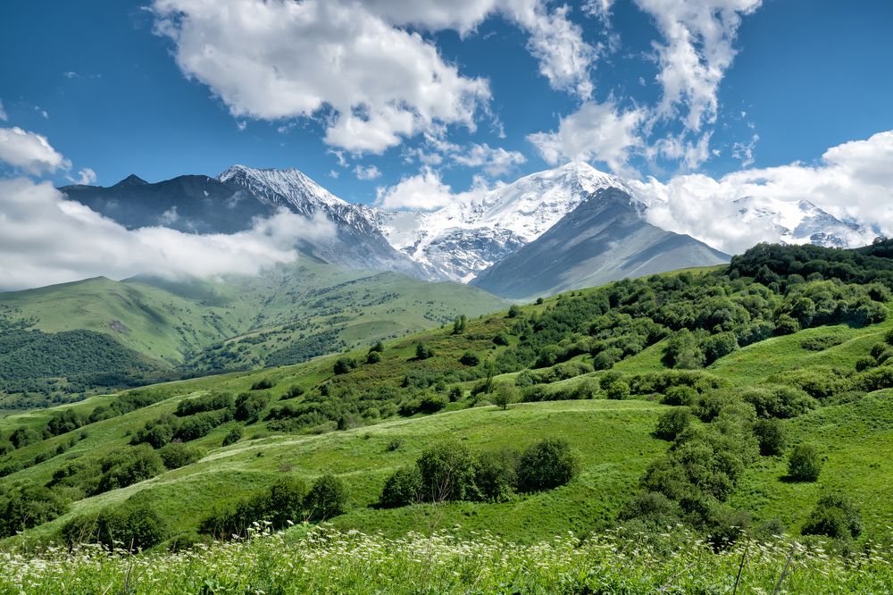 Photograph by Юрий Огуров