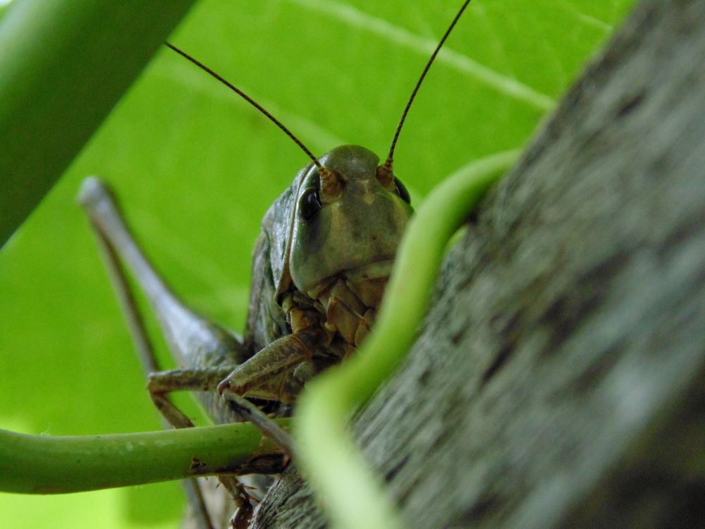 Photograph by Татьяна Стаскевич