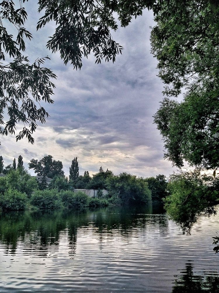 Photograph by Вера Родионова